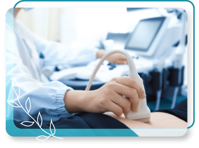 free-ultrasound